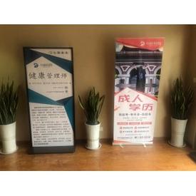 信息咨询山东-济宁营养师服务厂家列表宝妈家庭(服务)上海